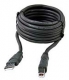 5A2653-10, USB A (M) to USB B (M) USB Cable, 10ft Bird